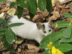 -毛华美食(清扬路店)