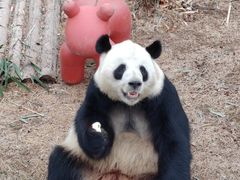 -青藏高原野生动物园