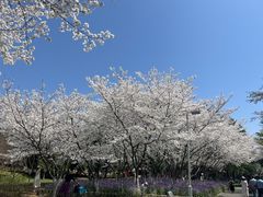 -白塘生态植物园