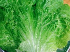 生菜-芝士牛炭火烤肉