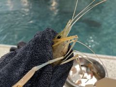 -嘻虾·钓虾工场(东莞总店)