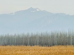 -野鸭湖国家湿地公园