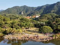 -深圳仙湖植物园