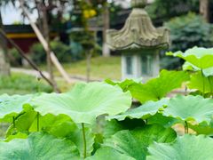 -宝光寺