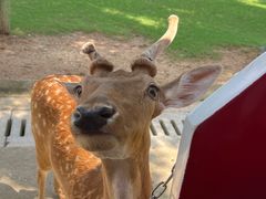 -南京金牛湖风景区