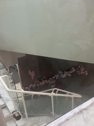 -上海漾颜医疗美容