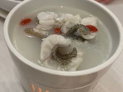 米汤深海石斑鱼-富淳饭店(世纪公园店)