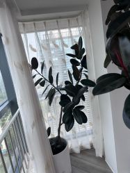 -HEYAN荷妍专业脱毛连锁机构
