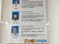 大夫介绍-达爱动物医院·犬猫分区·CT·复杂眼科(远洋山水分院)