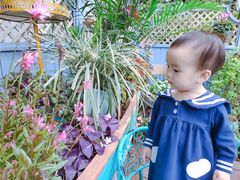 -云里小坐·小院里·团建·宴请·下午茶(三圣乡店)