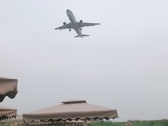 -空港花田景区