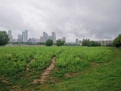 -汉江湾体育公园