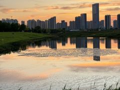 -洋湖国家湿地公园