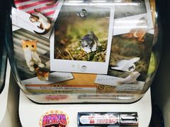 -秋叶原电器街
