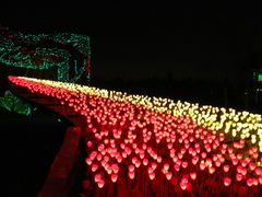 -长春公园(普阳街道)