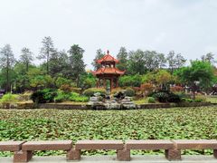 -四川大学(望江校区)
