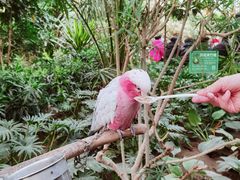 -南宫五洲植物乐园