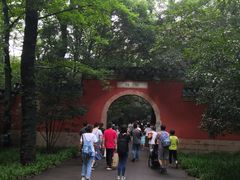 -灵谷景区