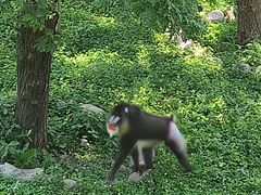 -西安秦岭野生动物园