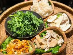 -滇野云南野生菌餐厅(陕西南路店)