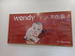 点击看大图 -WENDY·温迪皮肤管理