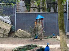 -梦幻奥陶纪景区