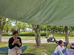 -洋湖国家湿地公园