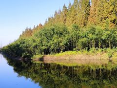 -黄海国家森林公园