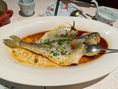 -维园悦谱·海派家常菜(乌鲁木齐南路店)