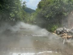 -广州白江湖森林公园