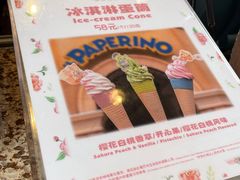 -IL paperino帕帕里诺冰激凌