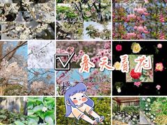 -留园