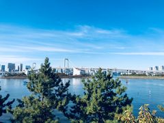 -台场海滨公园船码头