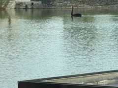 -京津佛罗伦萨小镇