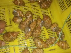 android_upload_pic-浪琴湾尾角仔海鲜坊