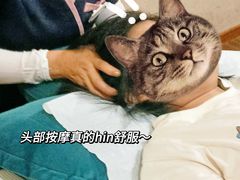 -养心阁足道馆(火宫殿一店)