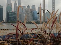 -上海港国际客运中心