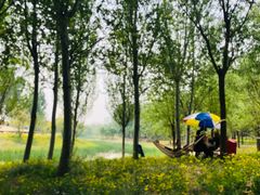 -东郊湿地公园