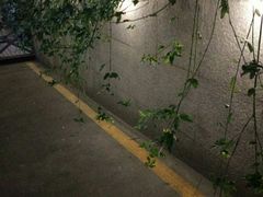 门面-先锋书店(五台山总店)