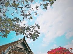 -中国科学院西双版纳热带植物园