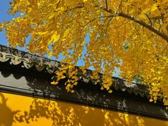 -西园寺素食(西园弄戒幢律寺店)
