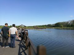 -溱湖国家湿地公园