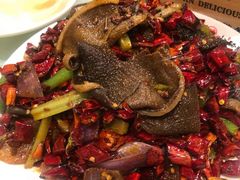 -福苗小骆驼烧烤(大唐不夜城店)