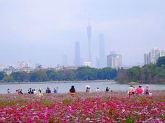 -海珠湖公园