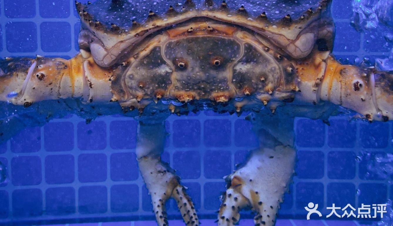 西安新店 | 终于解锁南美手抓海鲜の🦀新吃法