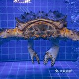 西安新店 | 终于解锁南美手抓海鲜の🦀新吃法