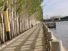 -党河风情线国家水利风景区