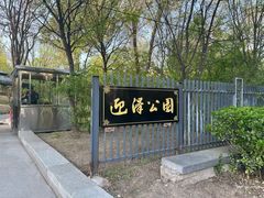 -迎泽公园