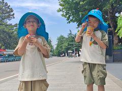 -日照海滨国家森林公园