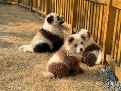 -茅山东方盐湖城景区